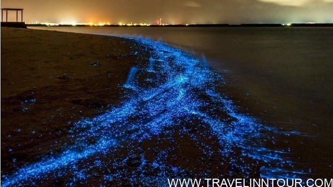 The Sea of Stars on Vaadhoo Island, Maldives