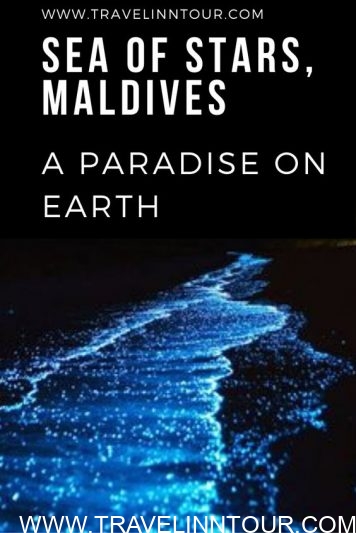 Exploring the Sea of Stars in the Maldives: An Ultimate Guide