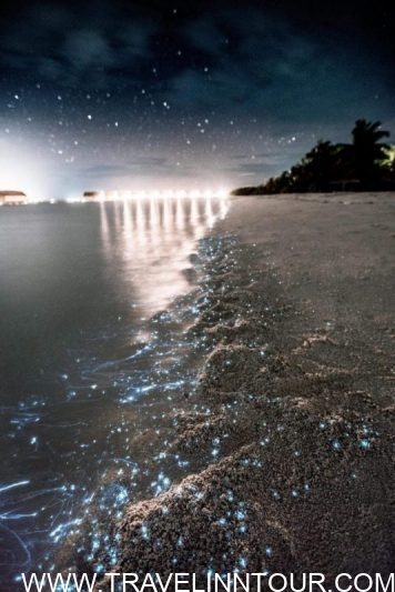Glowing Beach Maldives