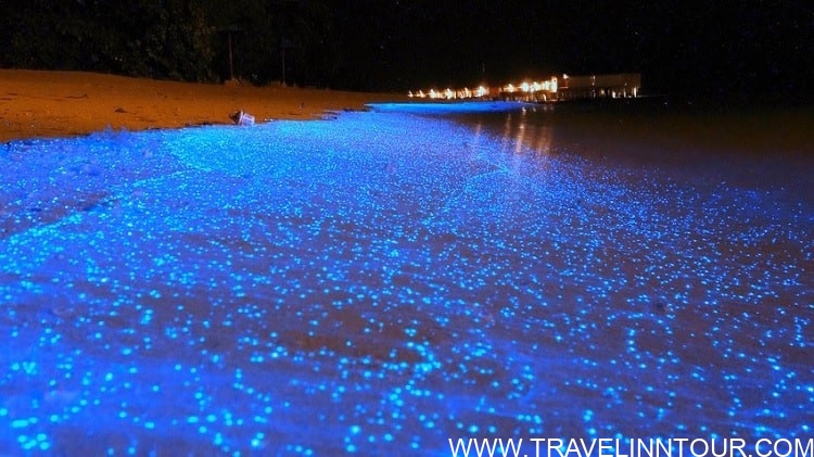 sea of stars maldives 