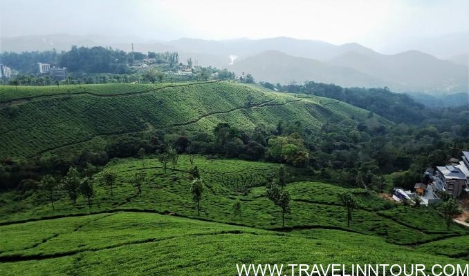 munnar-Tourist Places In Kerala