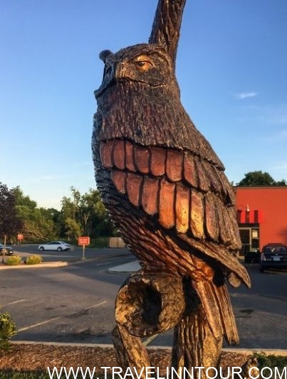 Orangeville Tree Sculptures