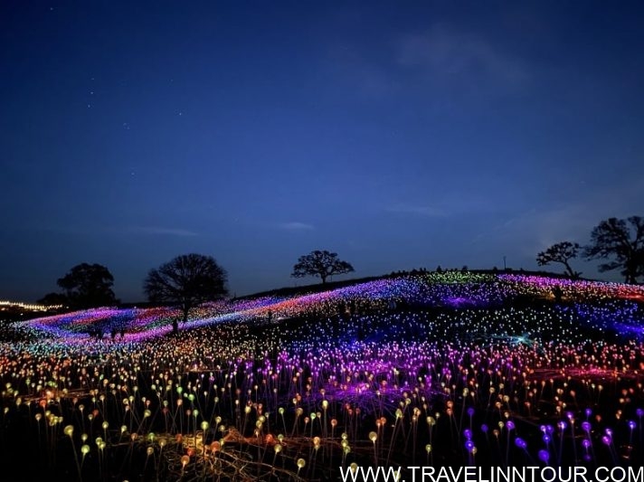 Field of Light display at Sensorio in Paso Robles