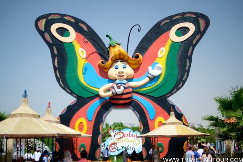 Butterfly Garden Dubai must visit attraction in dubai