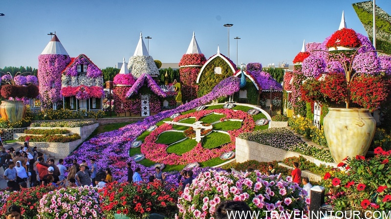 Dubai Miracle Garden Or Dubai Flower Garden