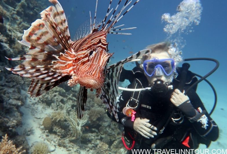 SCUBA Diving - Albufeira Boat Tours