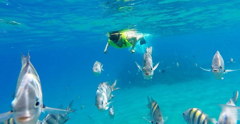 Snorkeling Best Places To Snorkel In Europe
