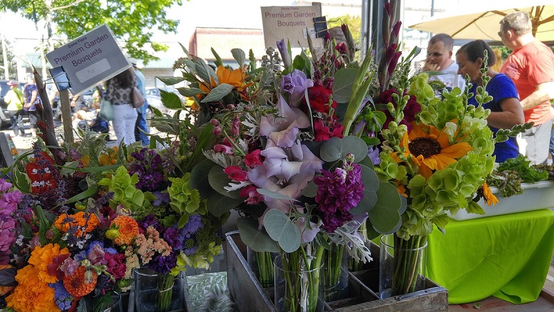 Bellingham Farmers Market