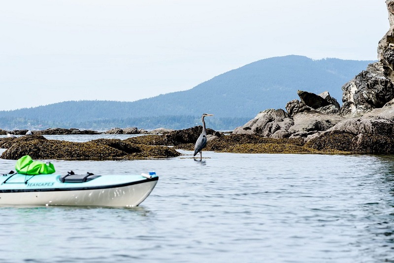 Larrabee State Park