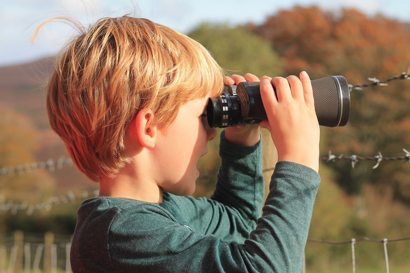 Best Travel Binoculars for Bird Watching