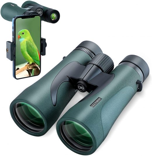 Gllysion BW21 12x50 best travel binoculars