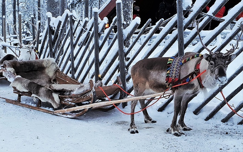 Best Adventurous Activities In Lapland