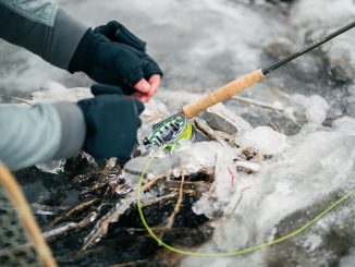 Best Winter Fishing Destinations in the US 2 1