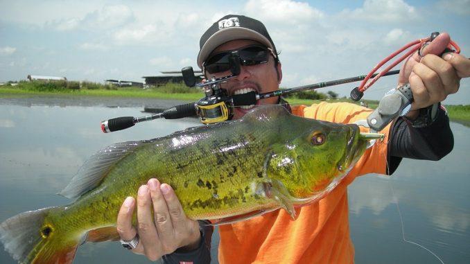Ultimate Guide to Bass Fishing 1