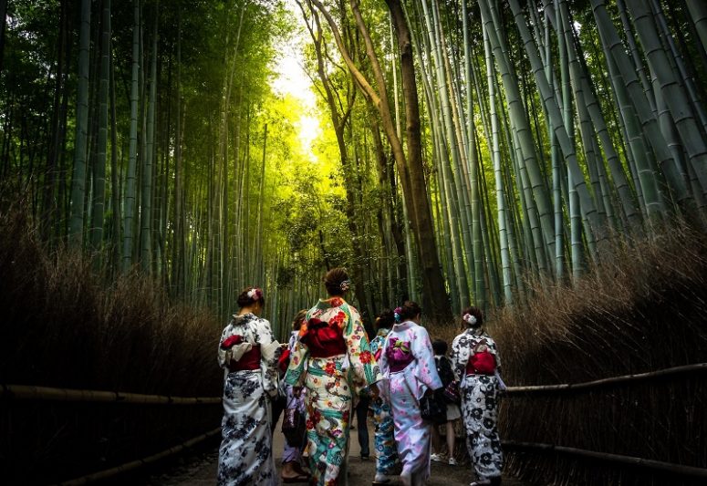 Arashiyama Bamboo Forest - 2 day kyoto itinerary