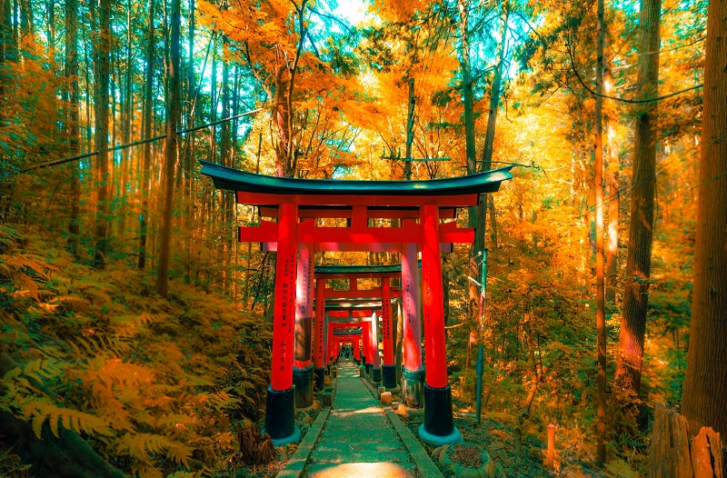 Fushimi Inari Taisha - 2 day kyoto itinerary