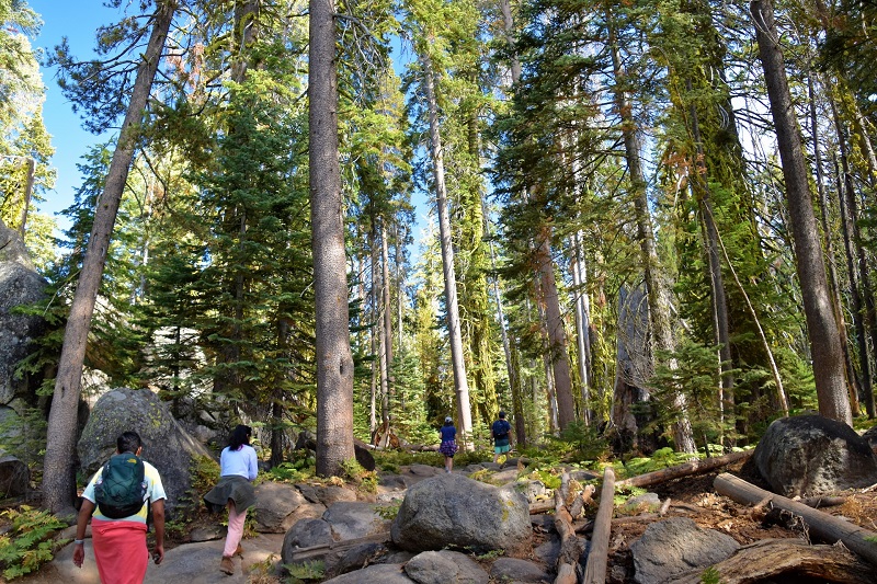 Sentinel Dome Taft Point Trailhead Yosemite Village