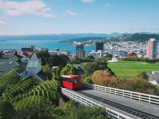 Wellington, New Zealand Best Places to Live in New Zealand for Families