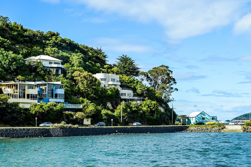new zealand Dunedin - Best-Places-to-Live-in-New-Zealand-for-Families
