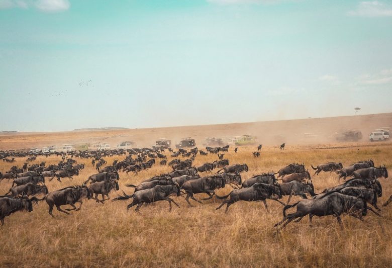 Maasai Mara National Reserve