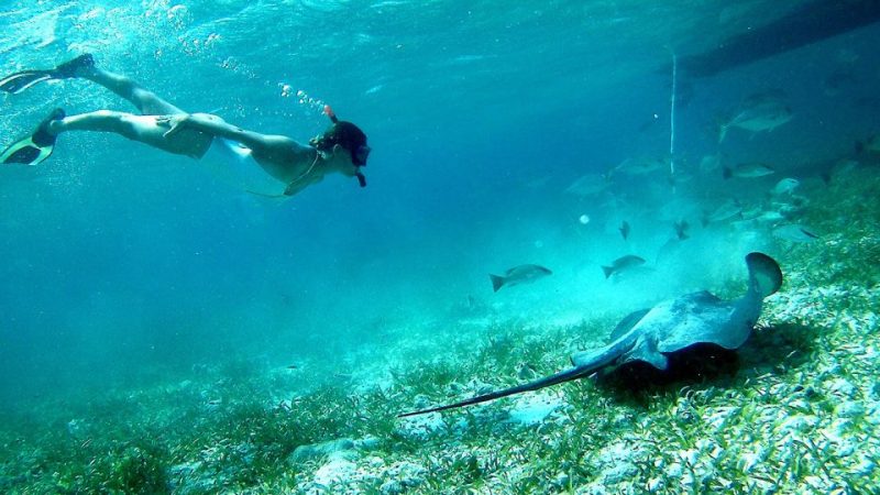 Snorkeling San Pedro Tour