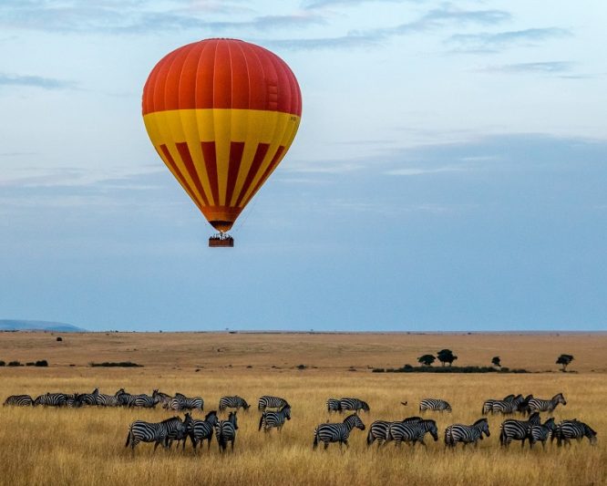 What to Expect on a Safari Vacation