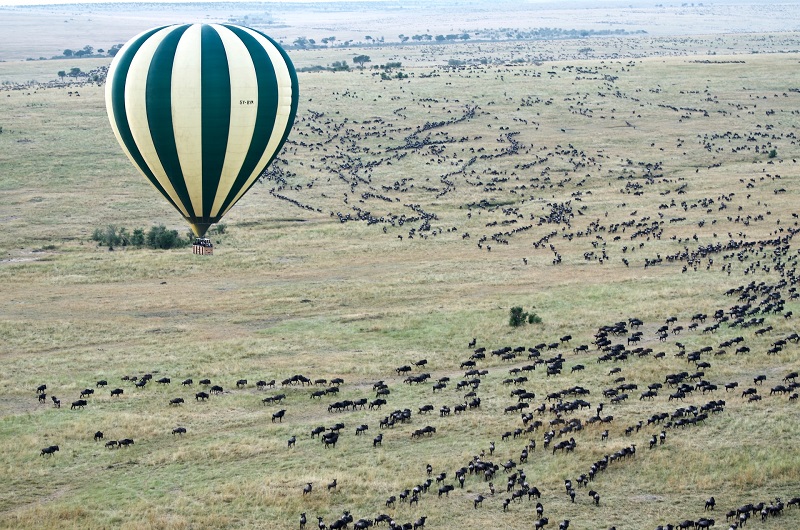 photography of hot air balloon