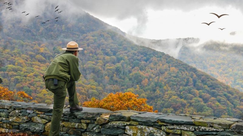 Shenandoah National Park