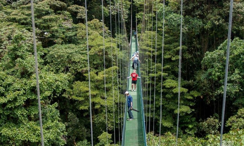 Monteverde Suspension Bridge