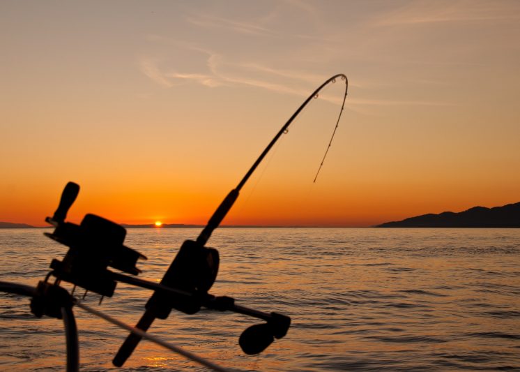 Seasonal Fishing Opportunities