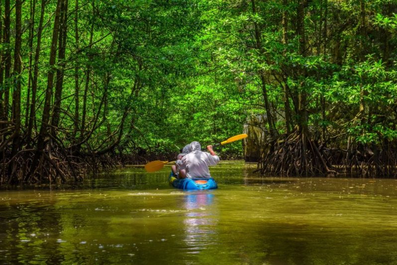 Tortuguero National Park Must Visit Places in Costa Rica