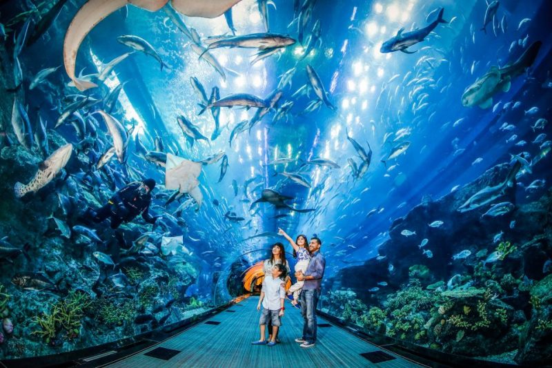 Marvels of Dubai Aquarium