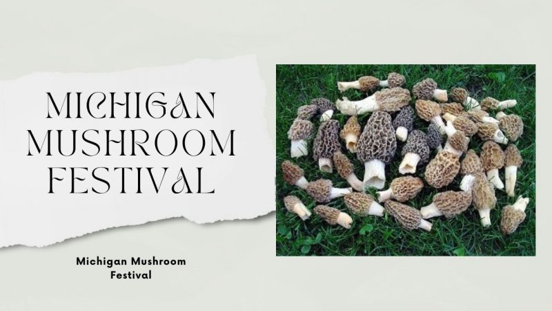 Michigan Mushroom Festivals