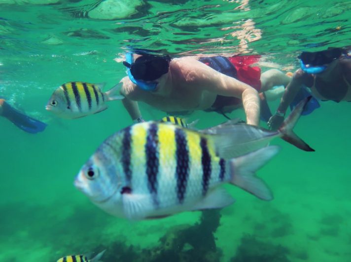 Top Snorkeling Spots in Tulum