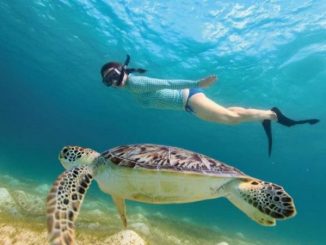 9 9 9 Best Snorkeling in Tulum Guide
